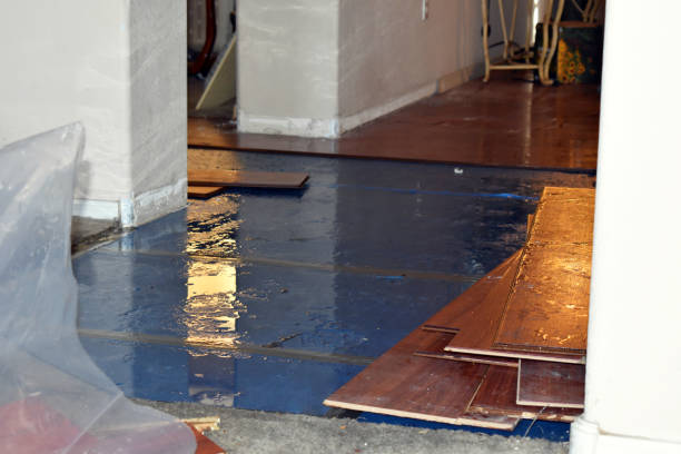 Professional Water Damage technician working in North Easton, MA