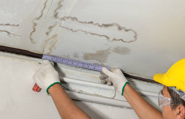Reliable Water Damage contractor in North Easton, MA by Water Damage Irwin